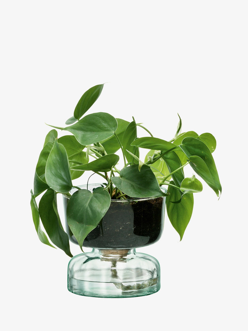 LSA - Canopy - Jardinière à réserve d'eau