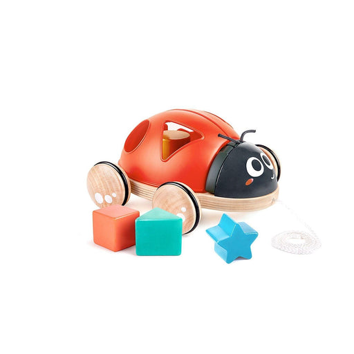 Hape - Shape Sorter Ladybug - Limolin 