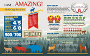 Madd Capp Puzzles – I Am Elk Jigsaw Puzzle | 1000 Pieces – educational Fun Facts insert