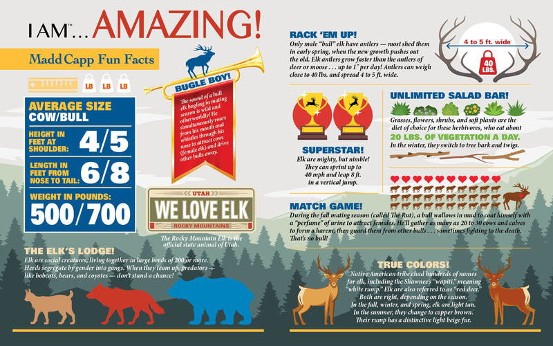 Madd Capp Puzzles – I Am Elk Jigsaw Puzzle | 1000 Pieces – educational Fun Facts insert