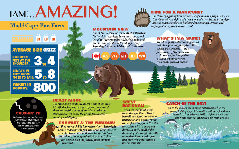 Madd Capp Puzzles – I Am Grizz Jigsaw Puzzle | 1000 Pieces – educational Fun Facts insert