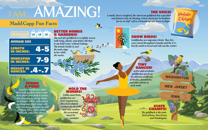 Madd Capp Puzzles – I Am Goldfinch Jigsaw Puzzle | 300 Pieces – educational Fun Facts insert