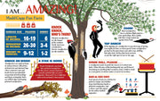 Madd Capp Puzzles – I Am Woodpecker Jigsaw Puzzle | 300 Pieces – educational Fun Facts insert