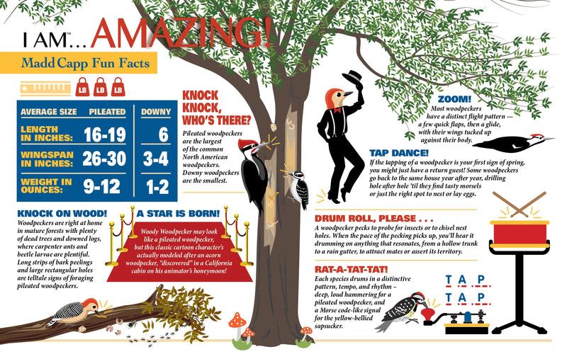 Madd Capp Puzzles – I Am Woodpecker Jigsaw Puzzle | 300 Pieces – educational Fun Facts insert