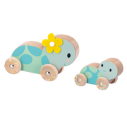 PURE: SET OF 2 TURTLES