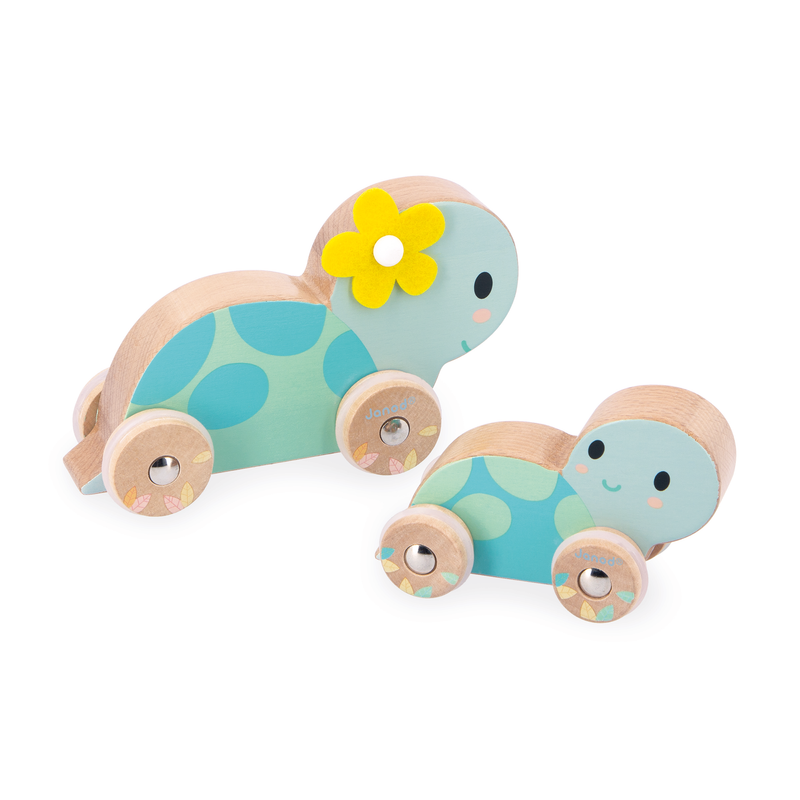 PURE: SET OF 2 TURTLES