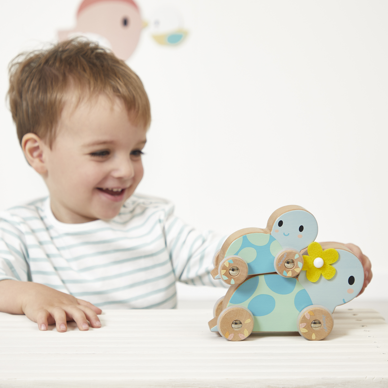PURE: SET OF 2 TURTLES