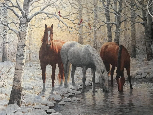 Jack Pine - Winter Trio (1000-Piece Puzzle) - Limolin 