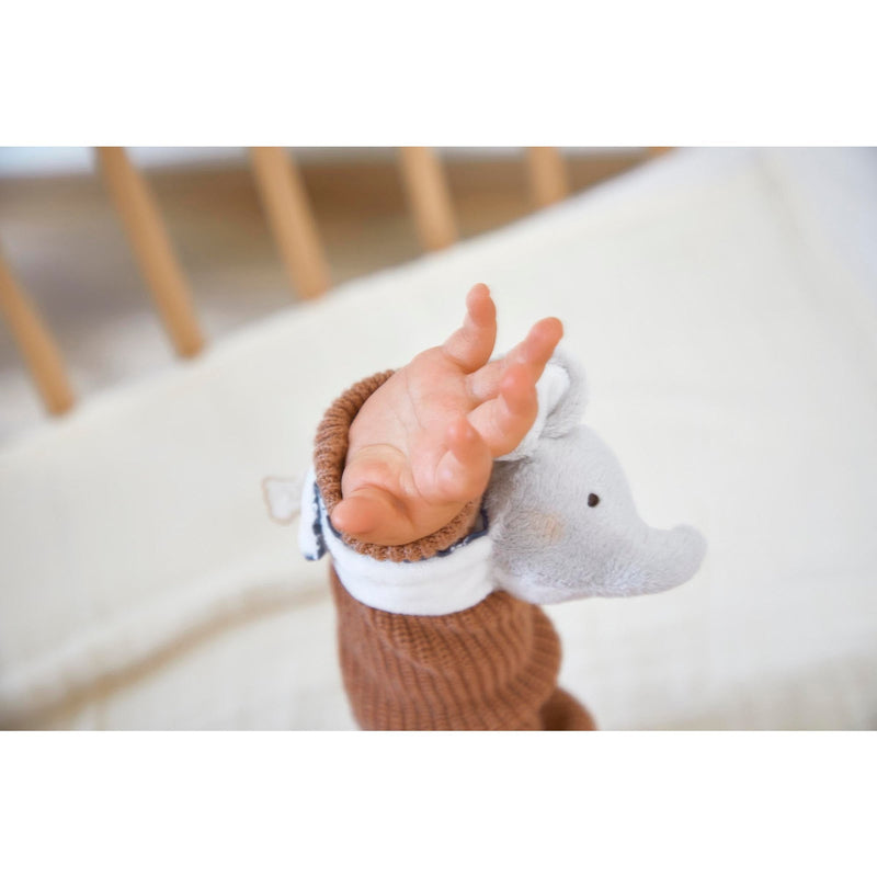 SOUND WRISTBAND & SLIPPERS - ELEPHANT