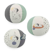 STIMULI: MY BALL - PUPPY