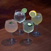 Luigi Bormioli - Gin Glass Selection Assorted 4Pc Set - Limolin 