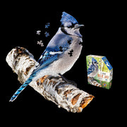Madd Capp Puzzles – I Am Blue Jay Jigsaw Puzzle | 300 Pieces – product image