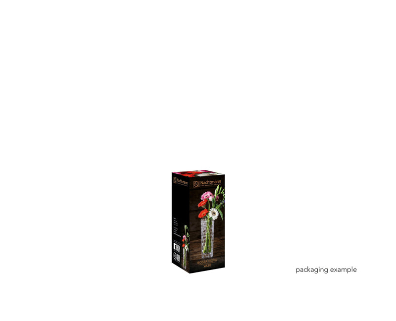 Nachtmann - BOSSA NOVA Vase | 6 Inch - Limolin 