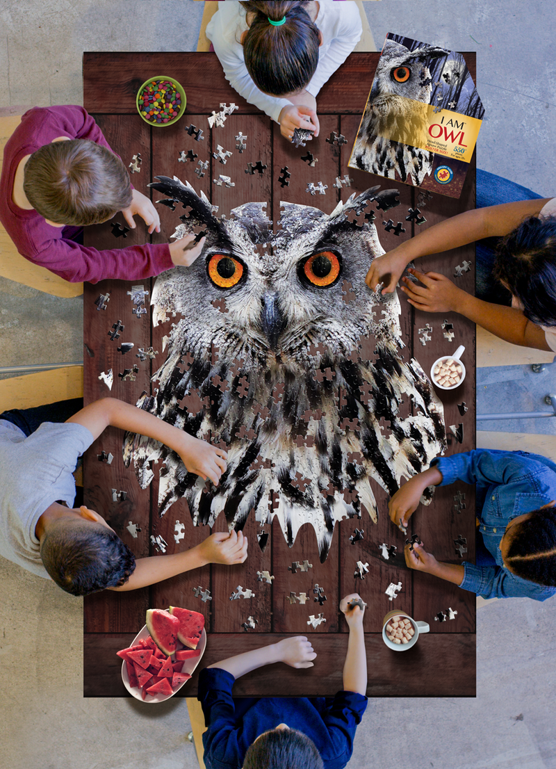 Madd Capp Puzzles – I Am Owl Jigsaw Puzzle | 535 Pieces – lifestyle view