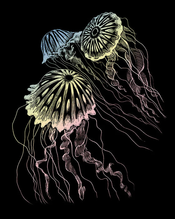 ROYAL - EGRVart Jellyfish - Limolin 
