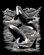 ROYAL - EGRVart Orca Whales - Limolin 