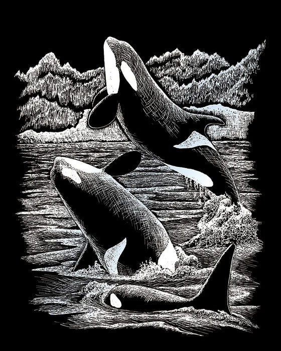 ROYAL - EGRVart Orca Whales - Limolin 