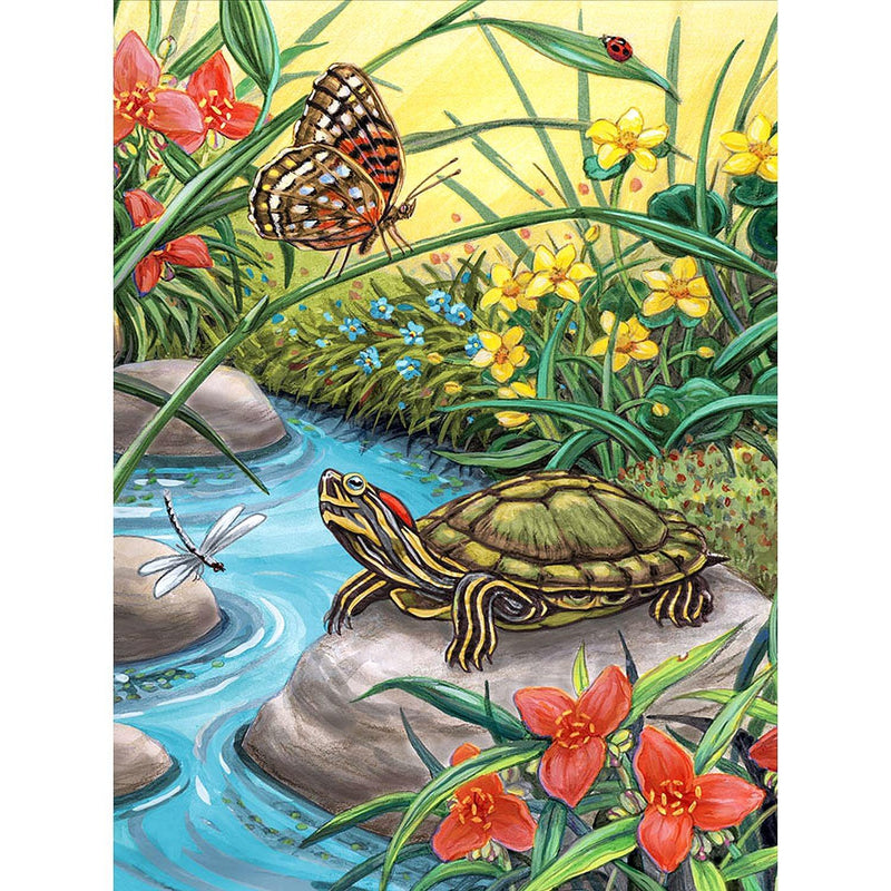 ROYAL - PBN Red Eared Slider - Limolin 