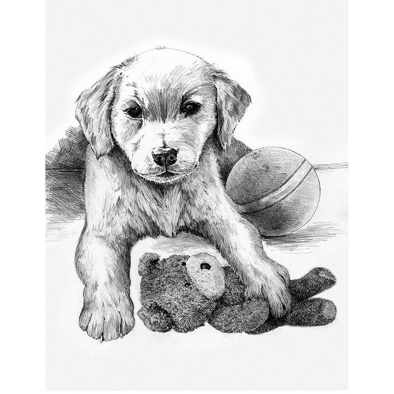 ROYAL - SKBN Puppy with Teddy Bear - Limolin 