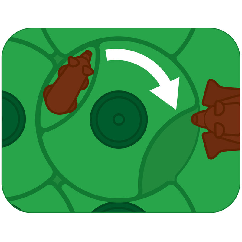 Smart Games - Grizzly Gears - Limolin 