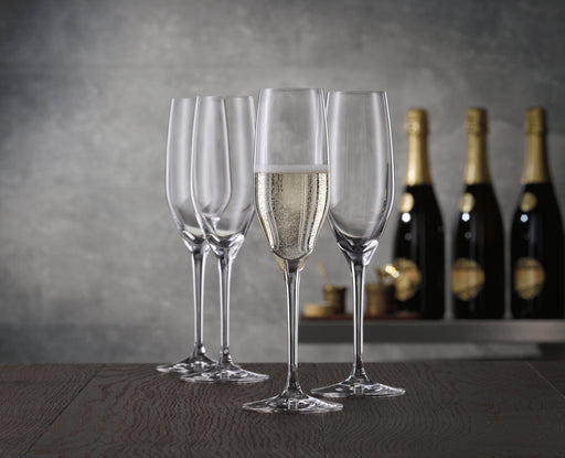 Spiegelau - AUTHENTIS - Champagne Flute (Set of 4) | 6 oz - Limolin 