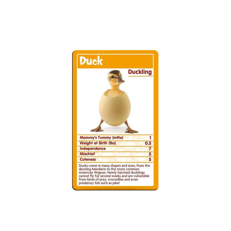 Top Trumps - Baby Animals - Limolin 