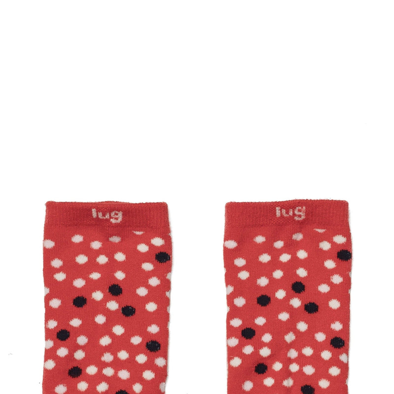 LUG - Trotter Socks 6PK