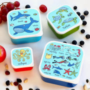 Tyrrell Katz - Snack Boxes 4/St Ocean - Limolin 