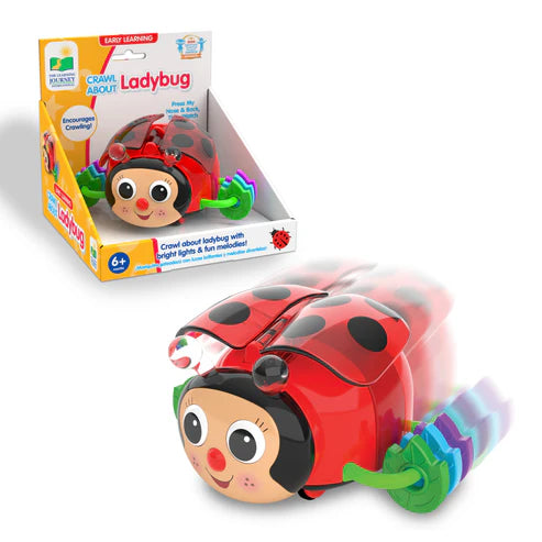 University Games - Crawl About - Ladybug - Limolin 