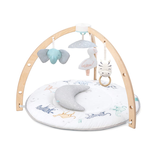 aden + anais - Activity Gym Mother & Baby Neutral