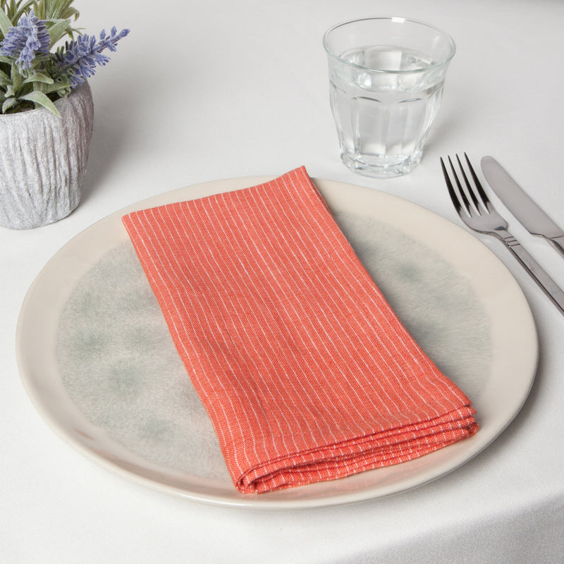 Danica - Clay Pinstripe Linen Napkins Set of 4 - lifestyle