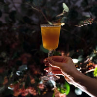 Bormioli Rocco - America '20s Cocktail/Sour x6