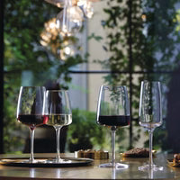 Bormioli Rocco - Planeo XL Verre à vin rouge (Lot de 4) - 555 mL