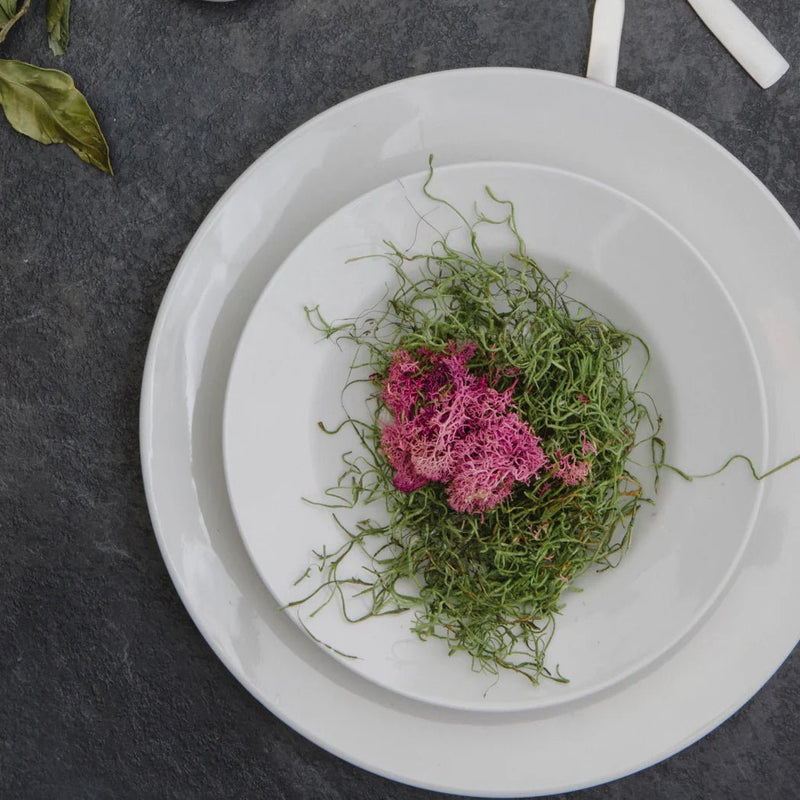Browne - PALM Presentation Plate, D - 12" /30.5cm, Porcelain, White Home & Kitchen