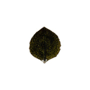 Costa Nova - Riviera Hydrangea Leaf Home & Kitchen Forets