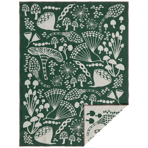 Danica Studio - Wildgrove Double Cloth Dishtowel Home & Kitchen