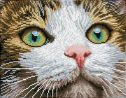 DIAMOND DOTZ - GREEN EYED BEAUTY (11.81" x 11.81" - 30cm x 30cm) Arts & Crafts