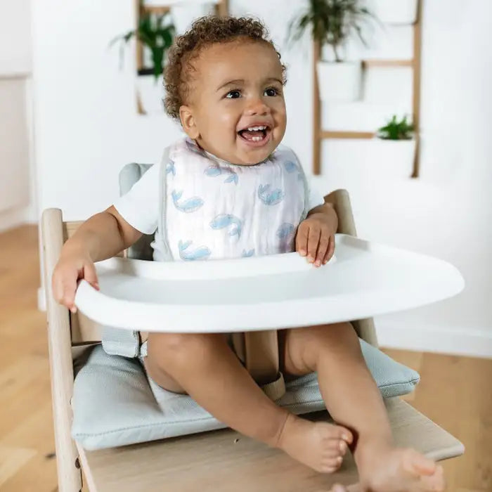 aden + anais - Bavoirs à pression