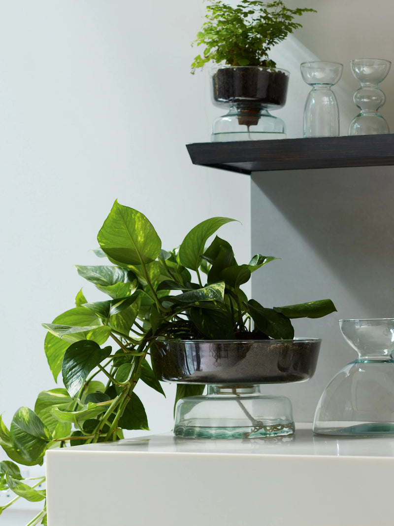 LSA - Canopy - Jardinière à réserve d'eau