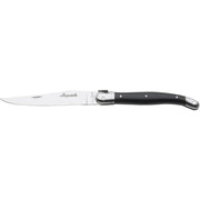 Jean Dubost - Laguiole Smooth Knife Set ABS Handle 4pc Home & Kitchen Black