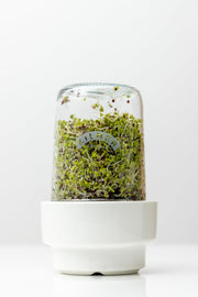 Kilner Seed Sprouting Set | 500 mL