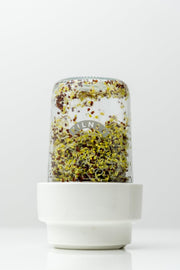 Kilner Seed Sprouting Set | 500 mL