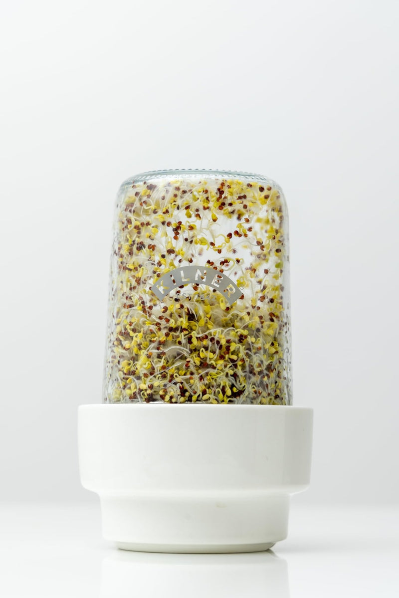 Kilner Seed Sprouting Set | 500 mL