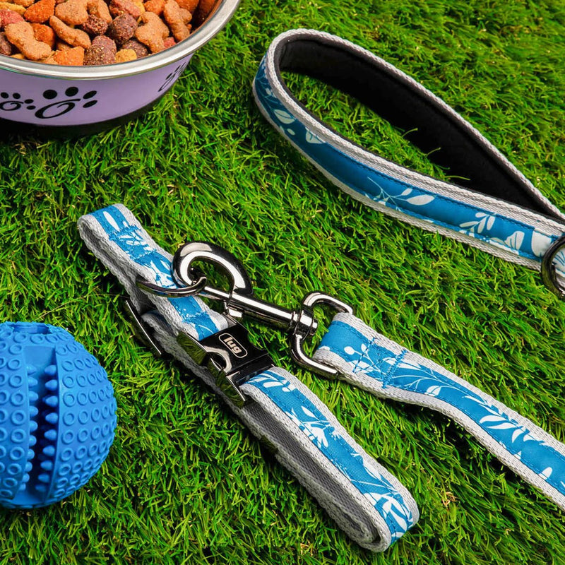 LUG – Ensemble collier et laisse pour animal de compagnie