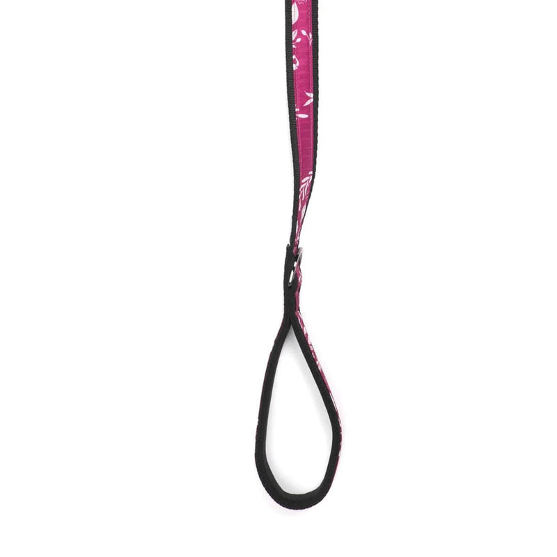LUG – Ensemble collier et laisse pour animal de compagnie