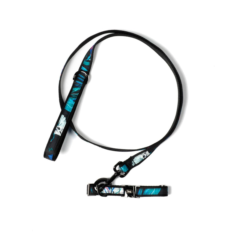 LUG – Ensemble collier et laisse pour animal de compagnie