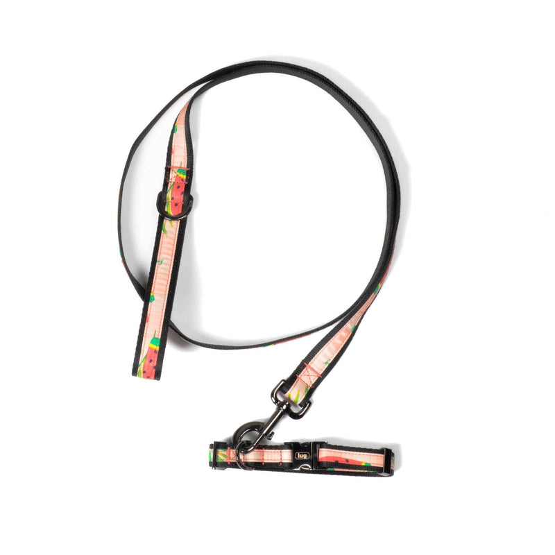 LUG – Ensemble collier et laisse pour animal de compagnie
