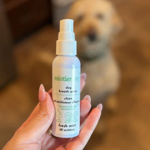 Mintier - Mintier - Dog Breath Spray 60ml Animals & Pet Supplies