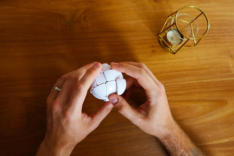 RECENT TOYS - MORPH'S EGG