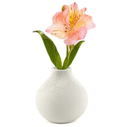 Natural Living - Bouquet - Bulb Vase - Soft White — soft-white Bouquet vase with flowers.